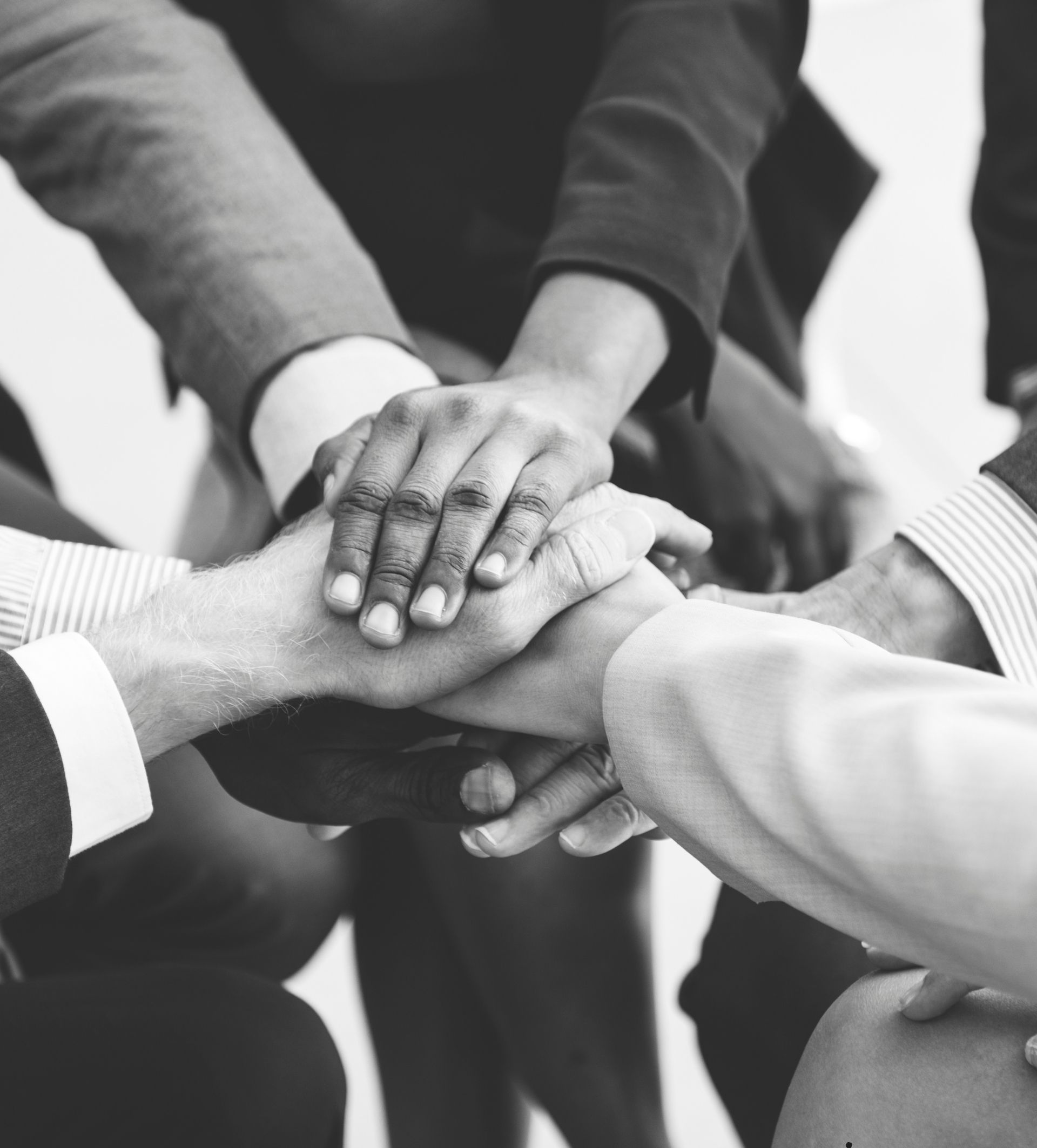 IMIS partnership and support